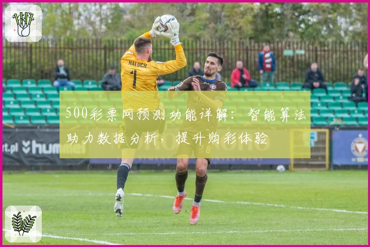 500彩票网预测功能详解：智能算法助力数据分析，提升购彩体验