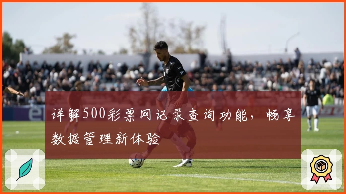 详解500彩票网记录查询功能，畅享数据管理新体验