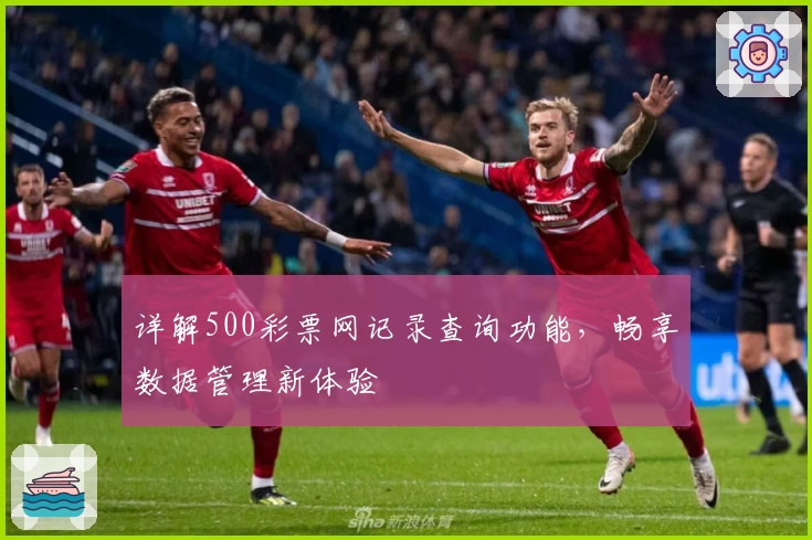 详解500彩票网记录查询功能，畅享数据管理新体验