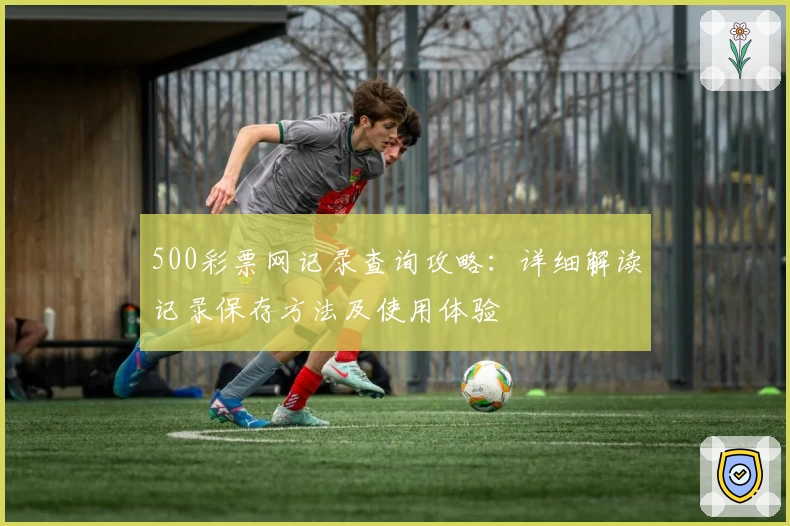 500彩票网记录查询攻略：详细解读记录保存方法及使用体验